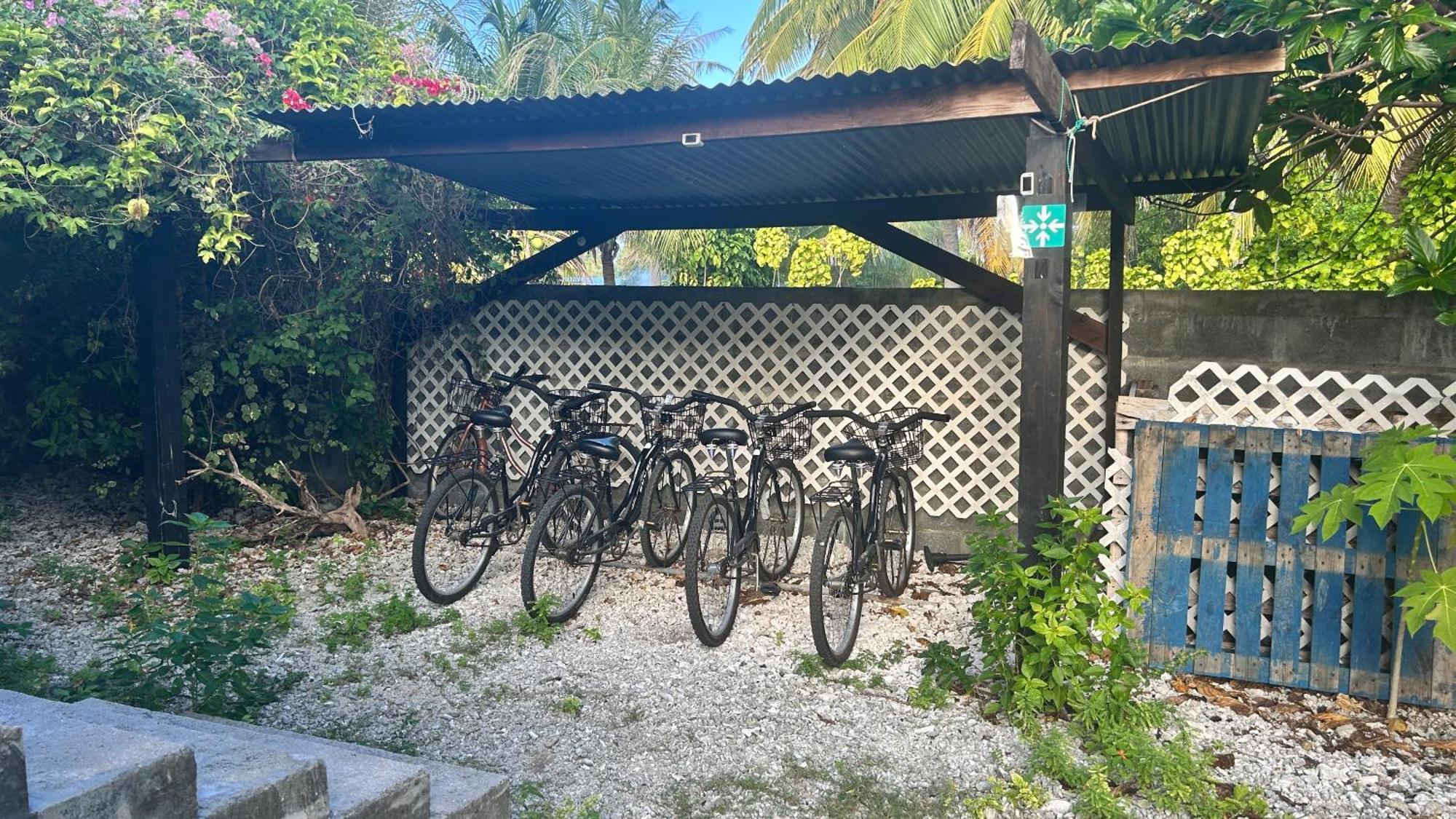 Appartamento Le Fare Bleu Tiputa Rangiroa Esterno foto